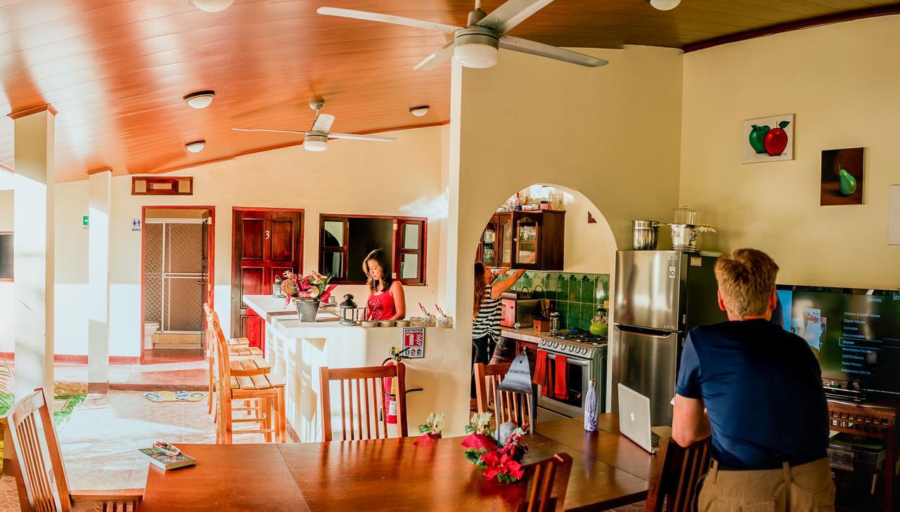 Casa Lula Leon Hostal 외부 사진
